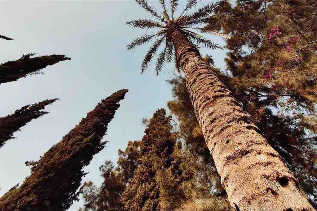Villa Piscine Agadir Kültér fotó